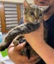 Cleo (6)